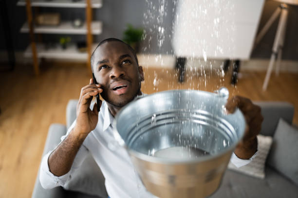 Best Water damage cleanup near me  in Highland Rk, PA
