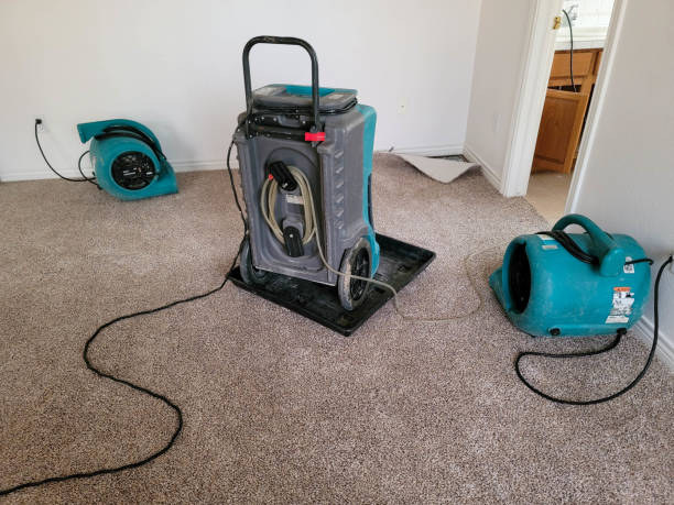 Best Water damage mitigation services  in Highland Rk, PA