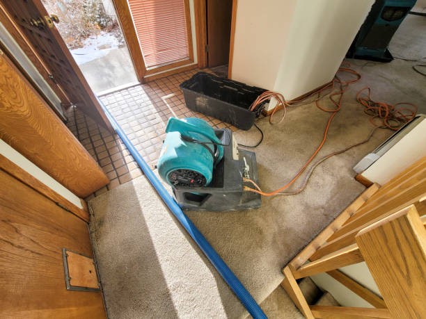 Best Residential water damage restoration  in Highland Rk, PA