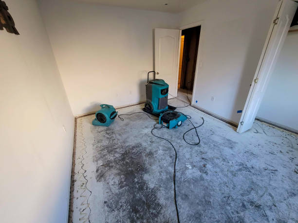 Best Sewage cleanup and water damage restoration  in Highland Rk, PA