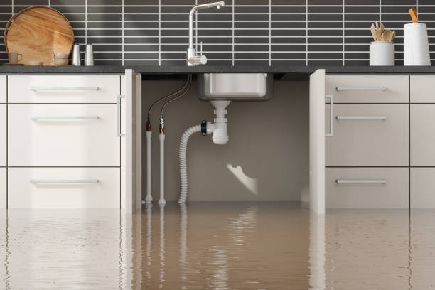 Best Flood damage cleanup  in Highland Rk, PA