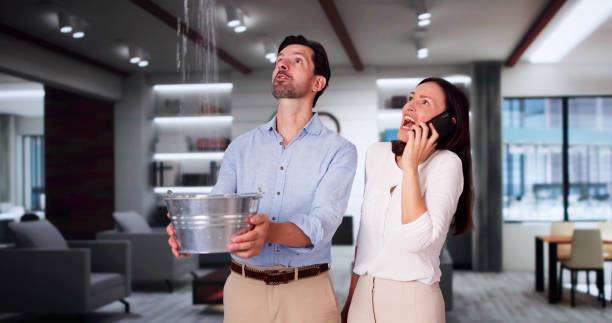Best Basement water damage restoration  in Highland Rk, PA